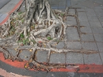 台湾2012_7041.JPG