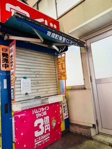 IMG_1093.jpeg