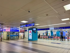 IMG_1108.jpeg