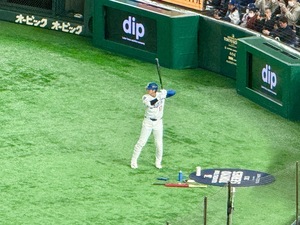 IMG_1297.jpeg