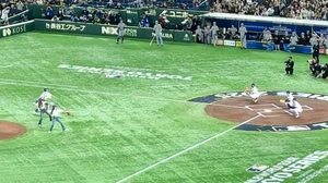 IMG_1339.jpeg