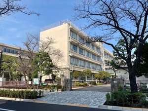 IMG_9671.jpeg