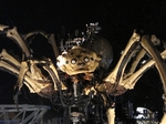 Y150_3.jpg