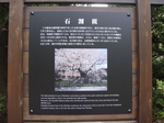 iwate_ishiwari3.jpg
