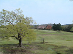 nara_1.jpg