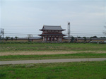 nara_17.jpg
