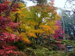 nikko200811c.JPG