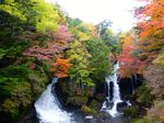 nikko201210a.jpg