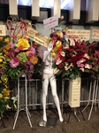 pamyu3.JPG